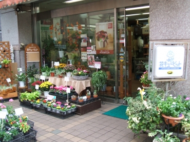 「都筑フローリスト」　（神奈川県横浜市都筑区）の花屋店舗写真1
