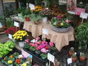 神奈川県横浜市都筑区の花屋　日吉生花店　都筑フローリスト